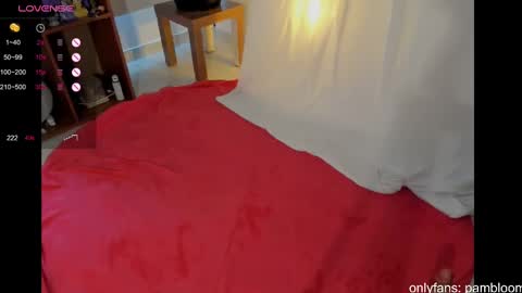 Snapshot of pambloom_ chatting on March 8, 2025, 9:08 pm online show from March 8, 2025, 9:08 pm