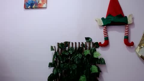 Pamela Claus online show from December 30, 2024, 3:46 pm