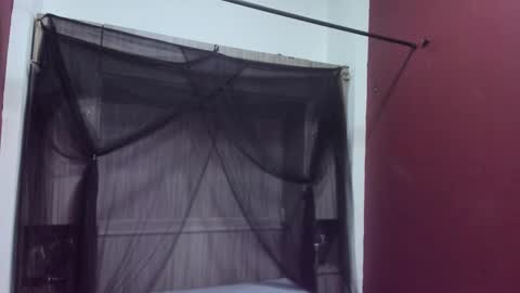  P A M  online show from February 22, 2026, 4:02 am