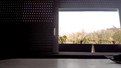 angel hris online show from April 14, 2026, 3:18 pm