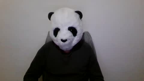 Snapshot of panda_feliz chatting on December 7, 2024, 7:10 pm Panda online show from December 7, 2024, 7:10 pm