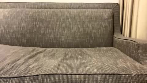 Snapshot of panther_style chatting on February 11, 2025, 2:57 am Oleg online show from February 11, 2025, 2:57 am