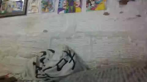 Snapshot of panthers_room chatting on November 26, 2025, 8:43 pm panthers_room online show from November 26, 2025, 8:43 pm