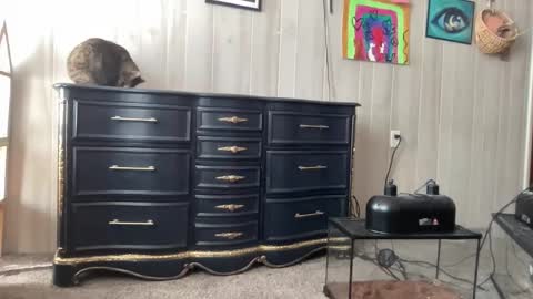 Pantiesofthefae online show from January 20, 2025, 5:27 pm