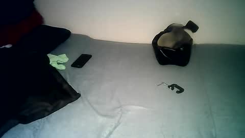 PantsLessTraveler online show from December 14, 2024, 7:46 pm