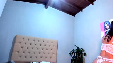 paolafox_ online show from December 19, 2025, 12:01 pm