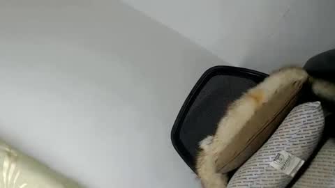 Snapshot of papigoddesslover chatting on January 20, 2025, 4:55 pm Fina Dwarf online show from January 20, 2025, 4:55 pm