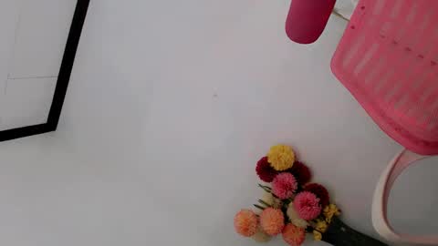 Snapshot of papigoddesslover chatting on February 25, 2025, 10:58 am Fina Dwarf online show from February 25, 2025, 10:58 am