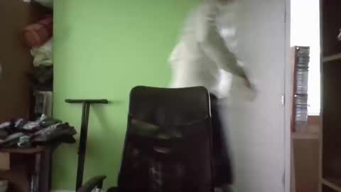 Snapshot of papitowilly999 chatting on March 11, 2025, 5:24 pm Papito online show from March 11, 2025, 5:24 pm