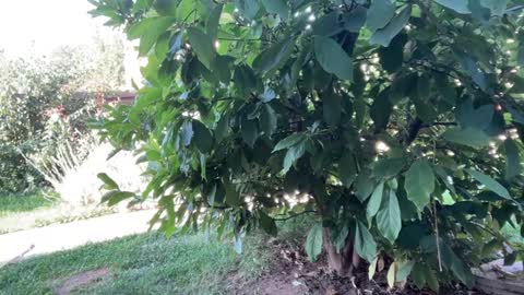 Snapshot of patry333 chatting on September 23, 2025, 6:16 am Andreea online show from September 23, 2025, 6:16 am