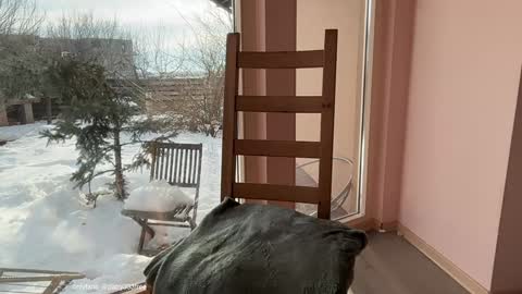 Snapshot of patry333 chatting on February 20, 2026, 6:37 am Andreea online show from February 20, 2026, 6:37 am