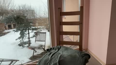 Snapshot of patry333 chatting on February 24, 2026, 7:06 am Andreea online show from February 24, 2026, 7:06 am