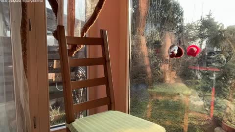 Snapshot of patry333 chatting on March 16, 2026, 5:44 am Andreea online show from March 16, 2026, 5:44 am