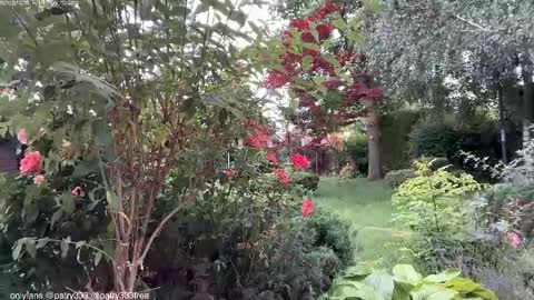 Andreea online show from June 4, 2026, 5:57 am