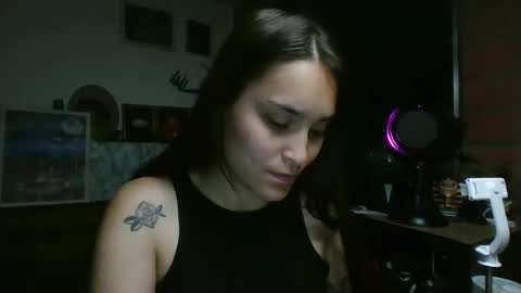 Snapshot of pau_cat chatting on June 1, 2026, 7:10 am Pau online show from June 1, 2026, 7:10 am
