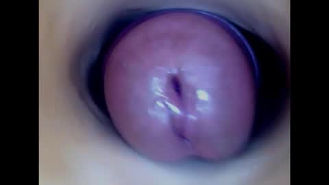 Paula 18 Aninhos online show from February 5, 2026, 10:47 pm