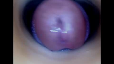 Paula 18 Aninhos online show from May 12, 2026, 12:57 pm