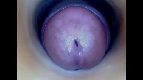 Paula 18 Aninhos online show from May 22, 2026, 6:46 pm