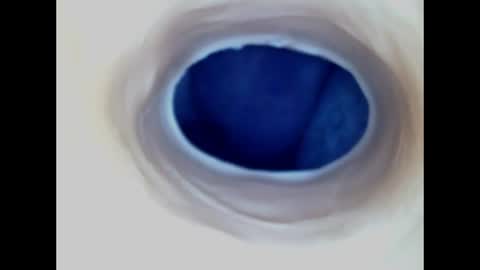 Paula 18 Aninhos online show from June 14, 2026, 2:24 am