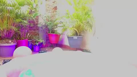 Paulina  online show from June 19, 2026, 7:39 pm