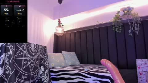 Dani online show from December 17, 2024, 8:54 pm