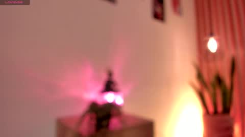 Snapshot of pawggirl18 chatting on June 2, 2026, 1:35 pm Dani online show from June 2, 2026, 1:35 pm