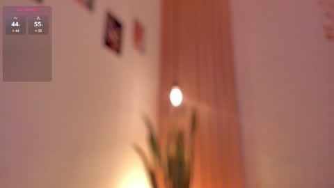 Dani online show from June 19, 2026, 1:48 pm