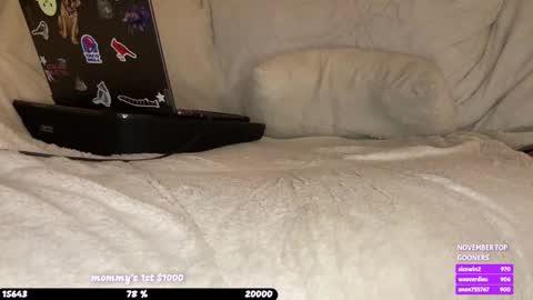 Snapshot of paythepixie chatting on November 7, 2025, 3:50 am pixie online show from November 7, 2025, 3:50 am