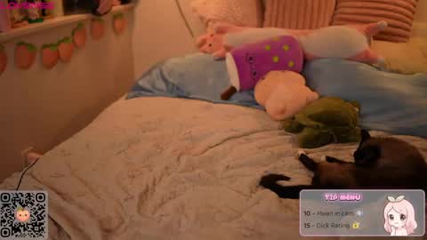Snapshot of peachypeachgirl chatting on April 6, 2026, 4:46 am peachypeachgirl online show from April 6, 2026, 4:46 am