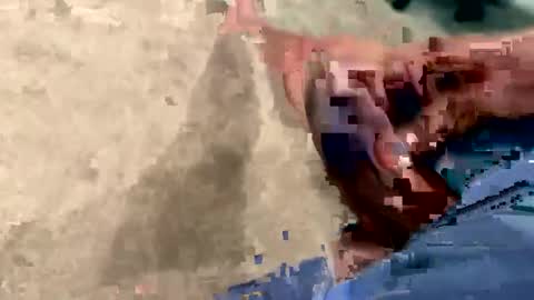 peakingondaddy online show from October 15, 2025, 11:21 am