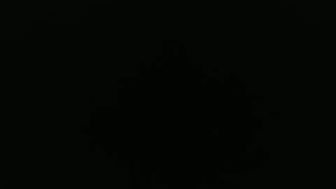 Alex online show from September 24, 2025, 8:28 am