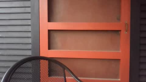 Snapshot of pecos8686 chatting on November 29, 2025, 2:42 pm pecos8686 online show from November 29, 2025, 2:42 pm