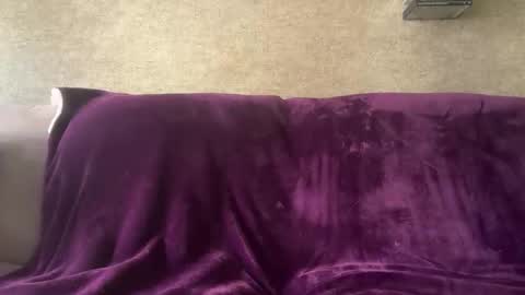 Snapshot of pedrigno79 chatting on May 24, 2026, 3:17 pm Pedrigno 79 online show from May 24, 2026, 3:17 pm