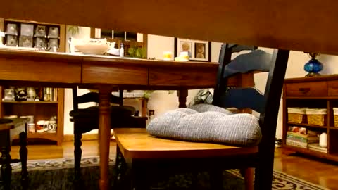 peecocktail online show from October 13, 2025, 5:07 am