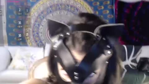 Snapshot of peekclimaxxx chatting on December 2, 2024, 2:41 pm NEXT CHILL SESH 1130 930pm -ish PEEK online show from December 2, 2024, 2:41 pm