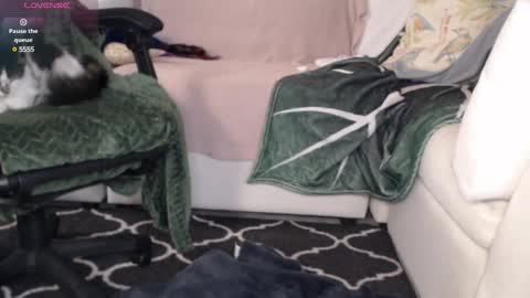 Snapshot of peekclimaxxx chatting on March 6, 2025, 2:19 am NEXT CHILL SESH 1130 930pm -ish PEEK online show from March 6, 2025, 2:19 am