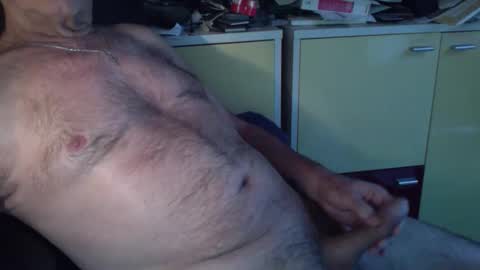 pegaso1000 online show from December 16, 2025, 9:36 am