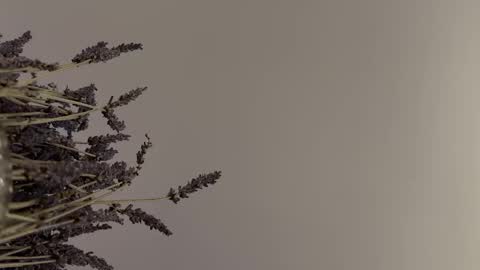 Snapshot of pegasus766152 chatting on February 2, 2026, 1:48 am pegasus766152 online show from February 2, 2026, 1:48 am