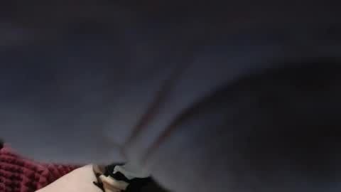 Snapshot of peggysoft chatting on October 13, 2025, 4:45 am PeggySoft online show from October 13, 2025, 4:45 am