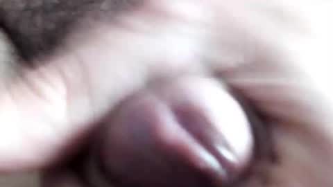 peiboluna online show from February 11, 2025, 10:59 am