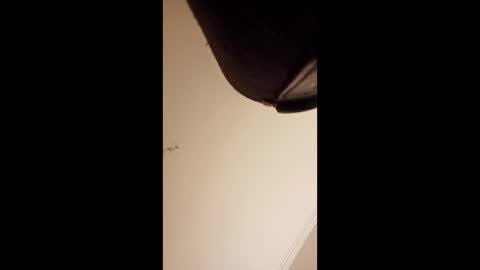 Snapshot of pelekenone chatting on April 1, 2026, 4:24 am pelekenone online show from April 1, 2026, 4:24 am