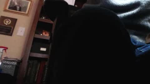 Snapshot of pem1650 chatting on January 12, 2025, 10:54 pm pem1650 online show from January 12, 2025, 10:54 pm