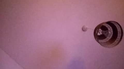 Snapshot of penesvoladores92 chatting on February 28, 2026, 1:39 am penesvoladores92 online show from February 28, 2026, 1:39 am