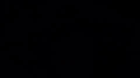 perdz768563 online show from March 17, 2026, 5:33 am