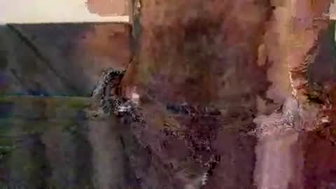 Snapshot of perfect_ftm chatting on November 12, 2025, 8:52 pm perfectFTM online show from November 12, 2025, 8:52 pm