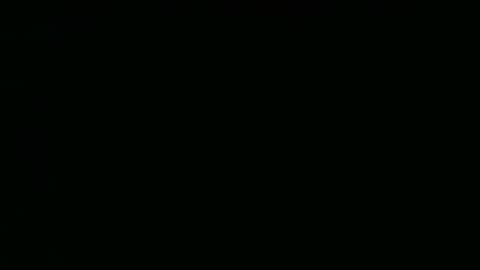 perrosoxxx online show from January 15, 2025, 12:09 am