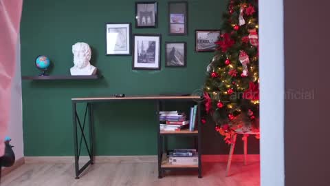 andres    online show from December 28, 2024, 8:25 pm