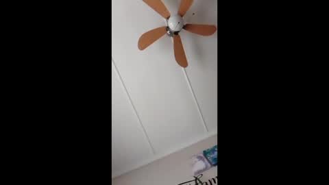 peter online show from February 15, 2026, 8:13 am