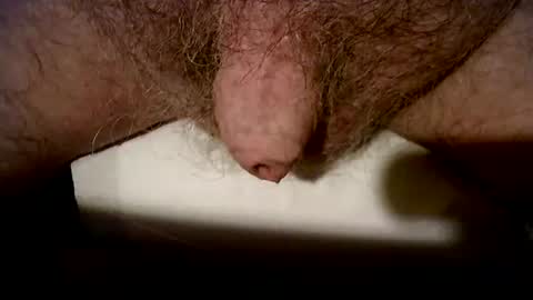 peterpeteropoulos online show from November 1, 2025, 9:17 pm