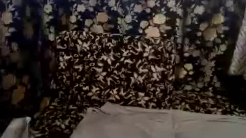 cute vir online show from July 13, 2026, 7:22 am